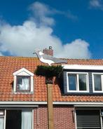 te koop feestpalen straatversiering vogels 40x, Ophalen, Gebruikt, Overige