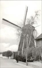 Korenmolen Z10 Nuth (L) Anno 1850 -foto uit 1978 ., Verzamelen, Ansichtkaarten | Nederland, Verzenden, 1960 tot 1980, Ongelopen