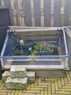 Kweekkas met deksel - Ideaal voor jonge planten, Ophalen, Kweekkas, Plastic, Polycarbonaat
