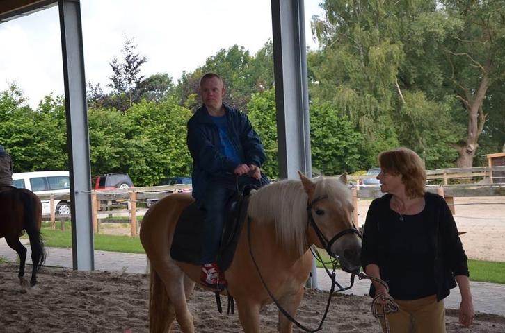 Gezocht rustig en betrouwbaar paard voor zorgboerderij, Dieren en Toebehoren, Paarden en Pony's | Overige Paardenspullen, Gebruikt