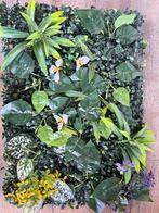 Kunstplant wandpanelen, Ophalen, Nieuw, Binnen, Inclusief kunstbloemen