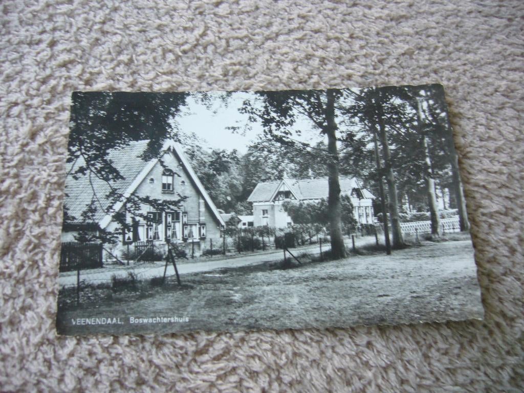 VEENENDAAL  =  BOSWACHTERSHUIS, Ophalen of Verzenden, 1940 tot 1960, Gelopen, Utrecht