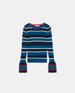 Ruffle sleeve pullover (ZARA), Overige kleuren, Zara, Nieuw, Ophalen of Verzenden