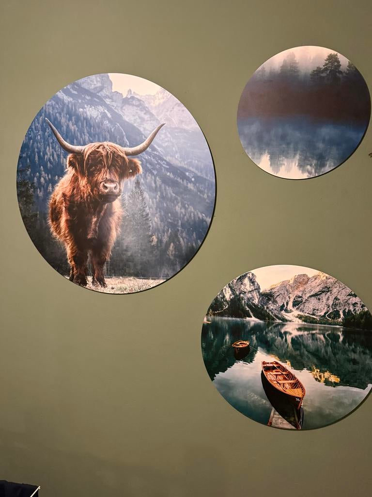 Ronde schilderijen met natuurafbeeldingen, Ophalen