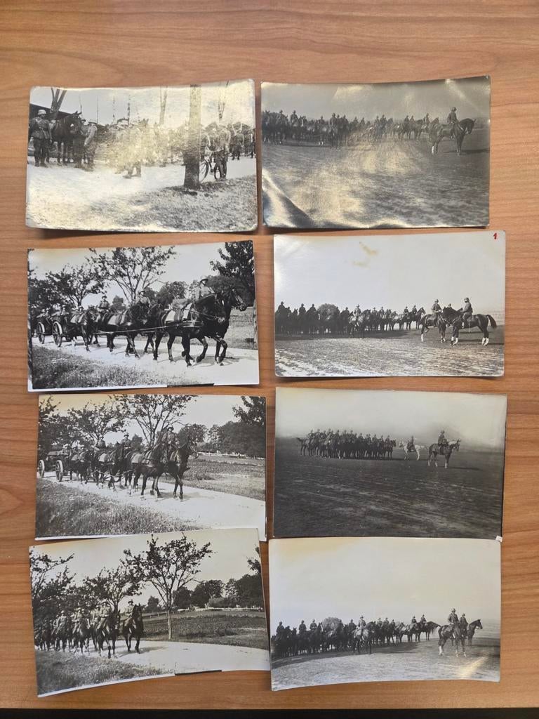 Foto's paarden, Ophalen of Verzenden, Landmacht, Duitsland, Foto of Poster