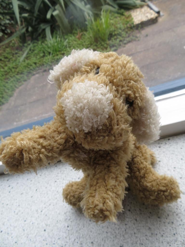 Hond of hondje merk Uni-Toys Amsterdam meet ca 21 cm breed, Kinderen en Baby's, Wasbaar, Zo goed als nieuw, Middelgroot (20 tot 80 cm)