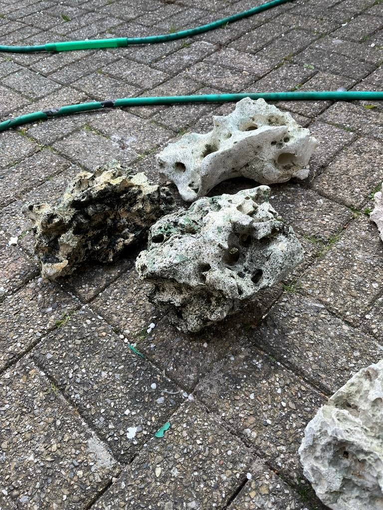 Aquarium stenen, Ophalen of Verzenden, Plant(en), Steen of Hout