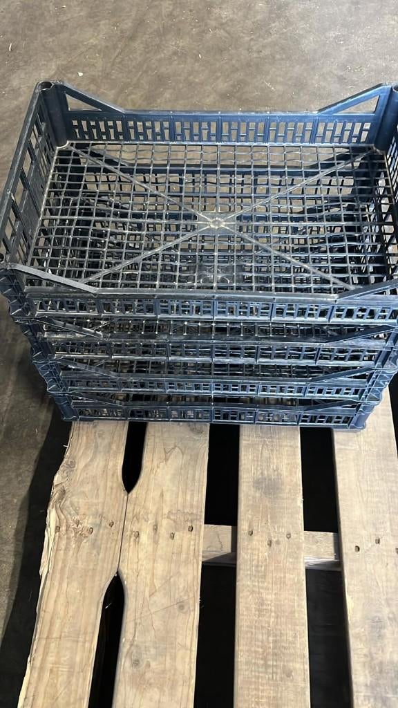 Plastic opbergkistje, 60 stuks, 40x60x10 cm, Ophalen, Gebruikt, 50 tot 75 cm, Minder dan 35 cm