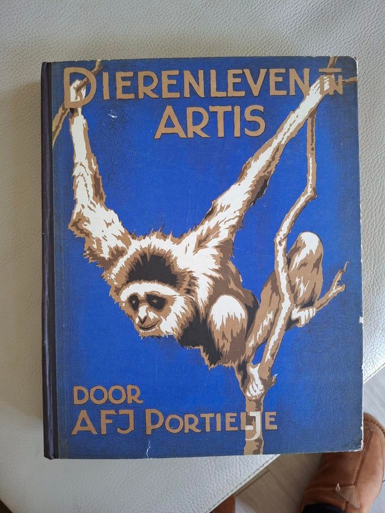 Vintage Verkade Album Dierenleven in Artis met Plaatjes, Antiek en Kunst, Ophalen of Verzenden