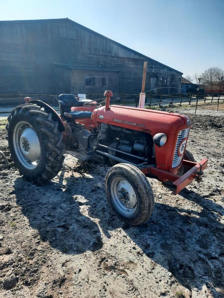 Massey Ferguson 35, Zakelijke goederen, Agrarisch | Tractoren, Massey Ferguson, tot 80 Pk, Oldtimer, Ophalen