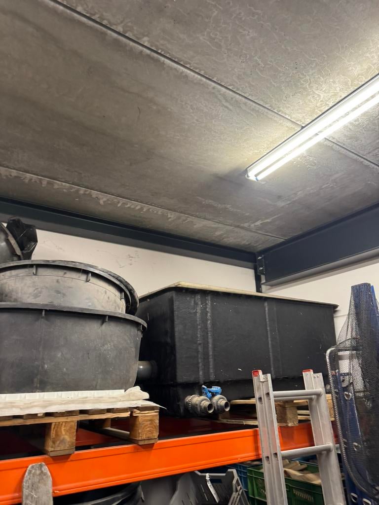 Vilterbak, Ophalen of Verzenden, Nieuw