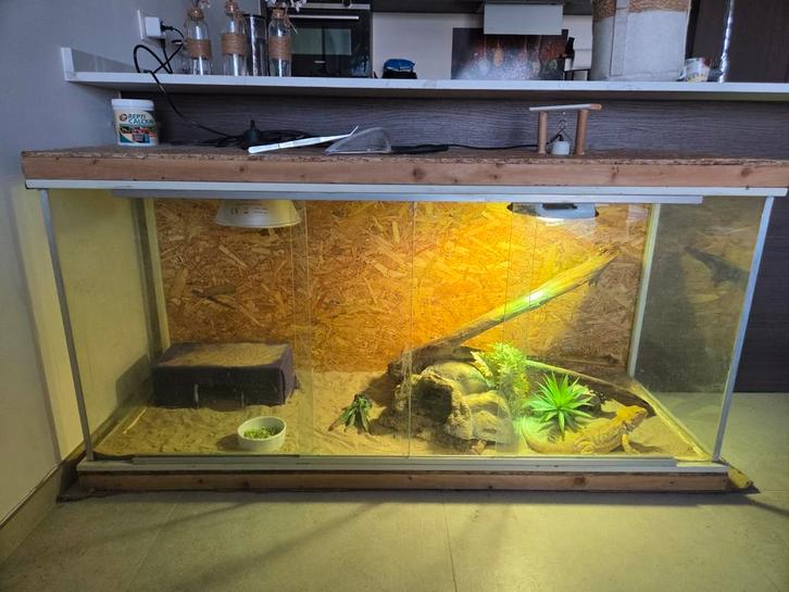 Goed terrarium **GRATIS**  Gereserveerd, Dieren en Toebehoren, Reptielen en Amfibieën, Hagedis