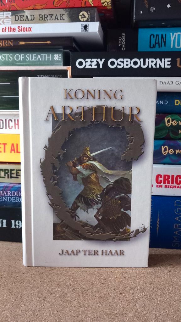 Jaap ter haar koning arthur, Boeken, Informatica en Computer, Zo goed als nieuw, Ophalen of Verzenden