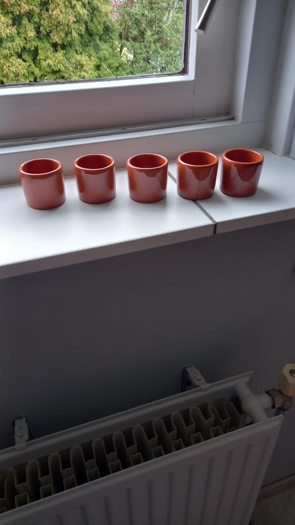 Terracotta potjes 36 stuks., Ophalen, Zo goed als nieuw, Overige stijlen, Overige typen