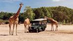 2 gratis tickets Safaripark Beekse Bergen(lees omschrijving), Twee personen, Ticket of Toegangskaart