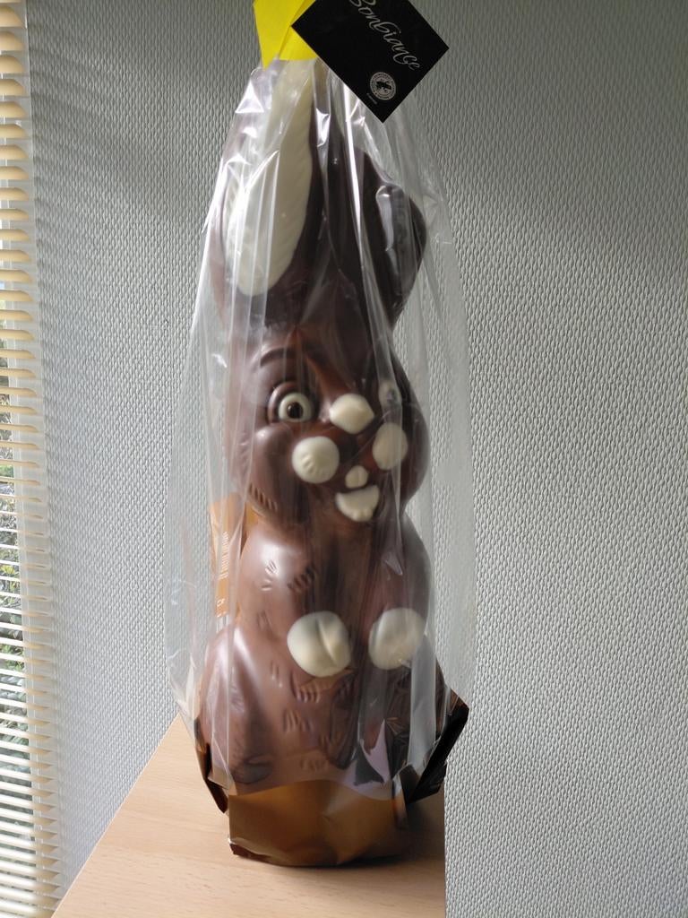 Gratis chocolade paashaas, Diversen, Levensmiddelen, Ophalen