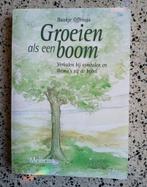 Groeien als een boom - Bauke Offringa zgan vaste prijs, Ophalen of Verzenden