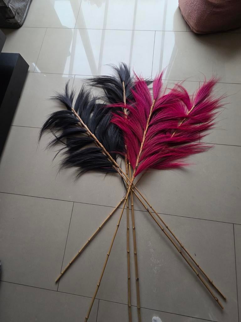 Gratis af te halen veren - pluimen, Huis en Inrichting, Ophalen