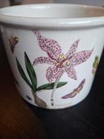 Potmeirion Botanic Garden Bloempot 12cm, Ophalen of Verzenden
