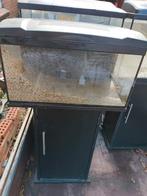 Aquarium 60 cm, Dieren en Toebehoren, Ophalen, Leeg aquarium