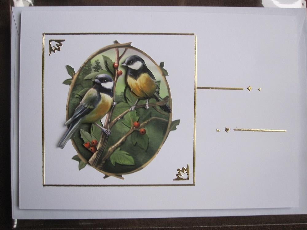 Originele vogel kaarten (3D), Ophalen, Nieuw, Natuur