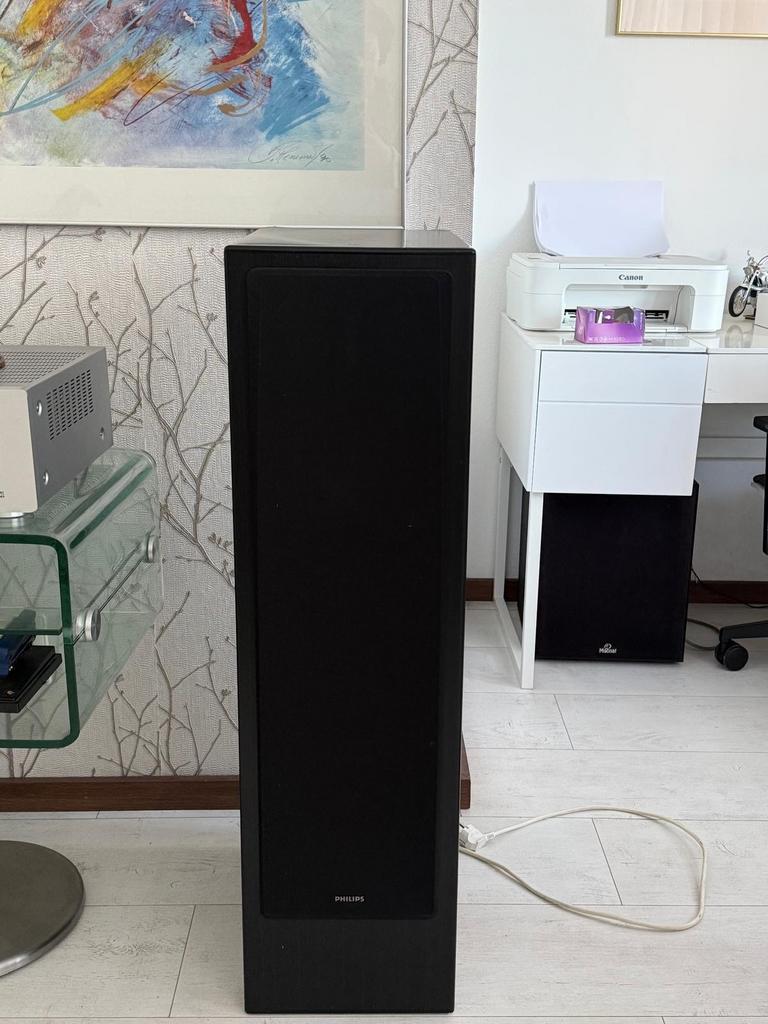Set van 2 Philips speakers - Helder en vol geluid, Ophalen, Zo goed als nieuw, Front, Rear of Stereo speakers, Philips