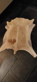 Dierenvel, Ophalen of Verzenden, Rond, 50 tot 100 cm, 50 tot 100 cm