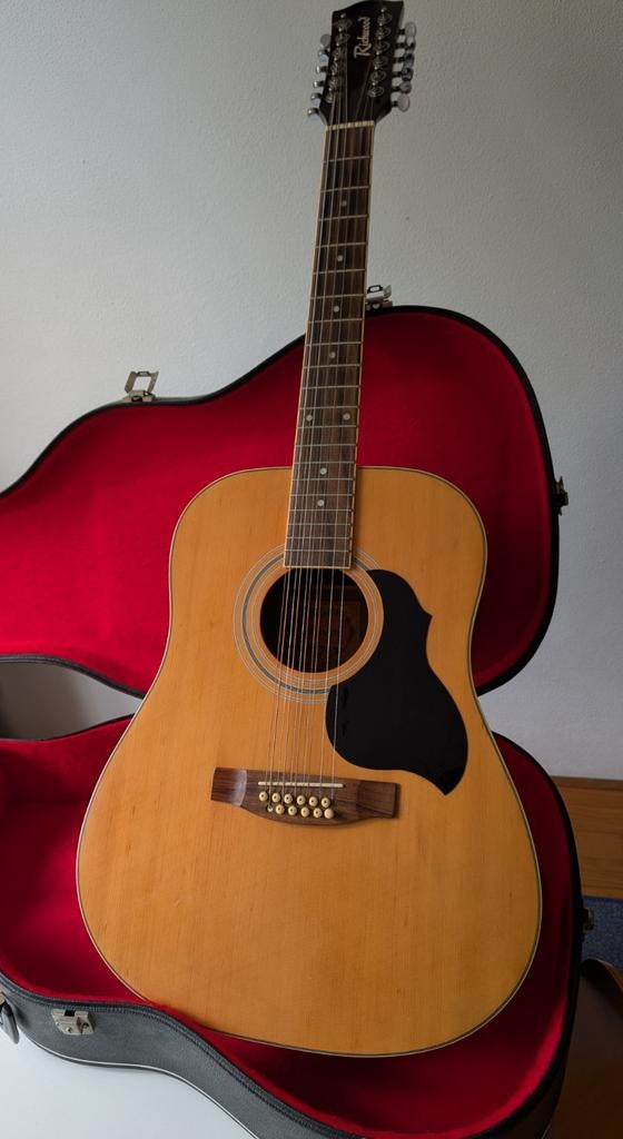 Richwood 12 snarige akoestische gitaar., Muziek en Instrumenten, Ophalen, Gebruikt, Overige typen, 12-snarig