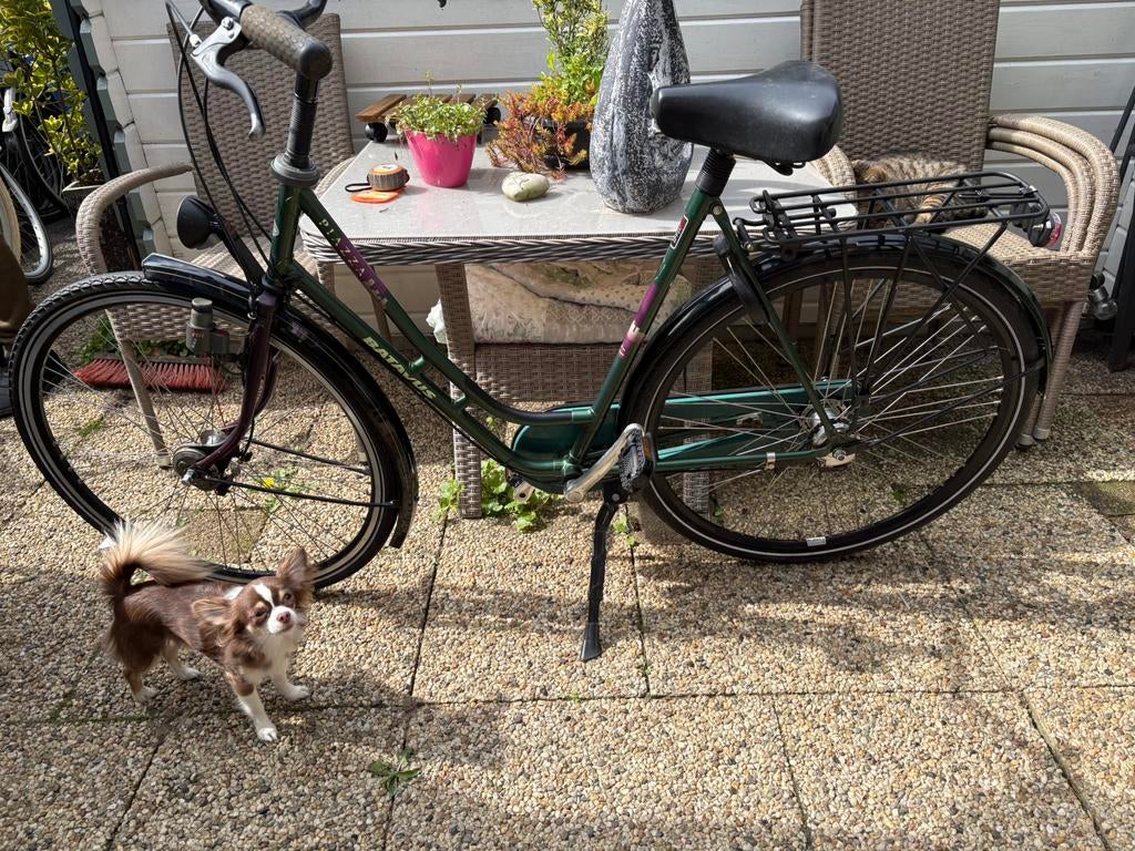 Batavus Piazza, 56 cm of meer, Ophalen, Zo goed als nieuw, Batavus