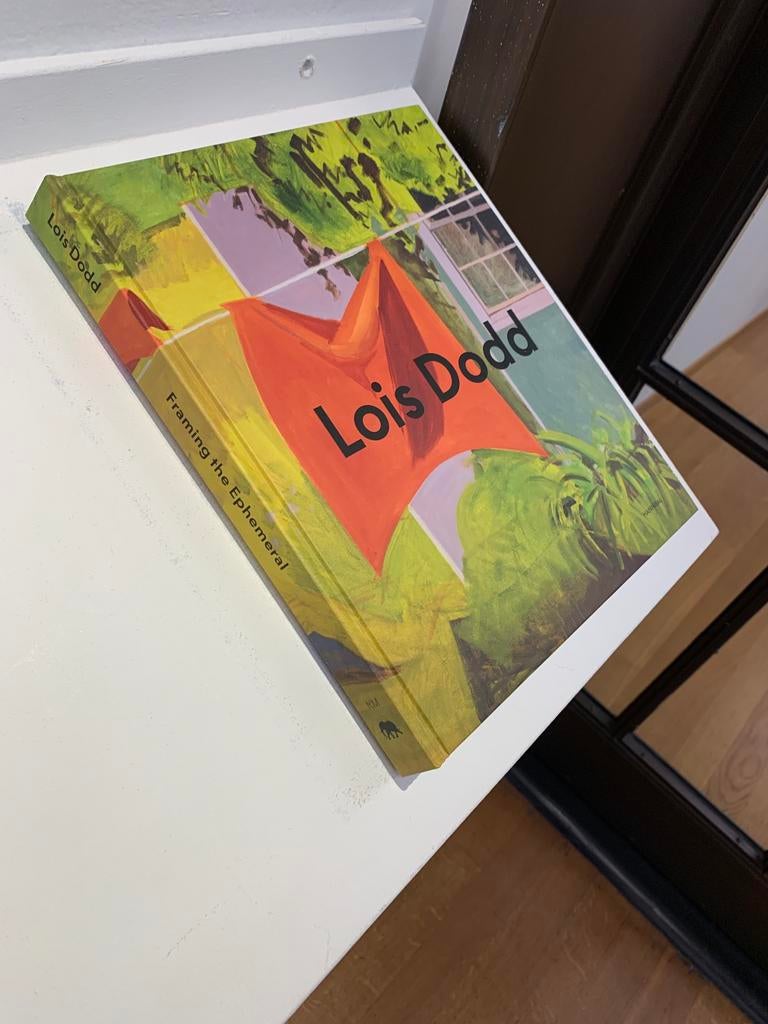 Gezocht: Lois Dodd - Framing the Ephemeral, Boeken, Ophalen, Zo goed als nieuw
