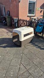 Vari kennel ultra bench, Ophalen, 110 cm of meer, 65 tot 100 cm