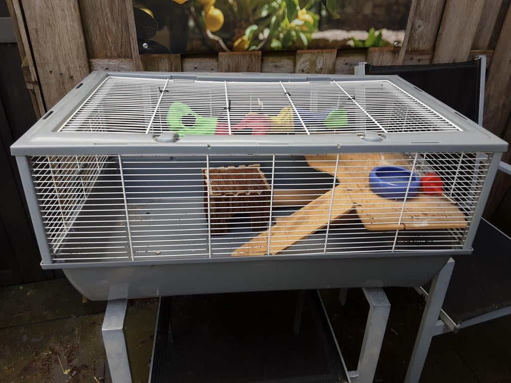 Hamsterkooi, Kooi, Gebruikt, Minder dan 75 cm, Muis