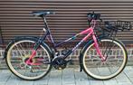 Giant Coldrock Dames model , Vintage MTB, Fietsen en Brommers, Ophalen, Gebruikt, 49 tot 53 cm, Giant