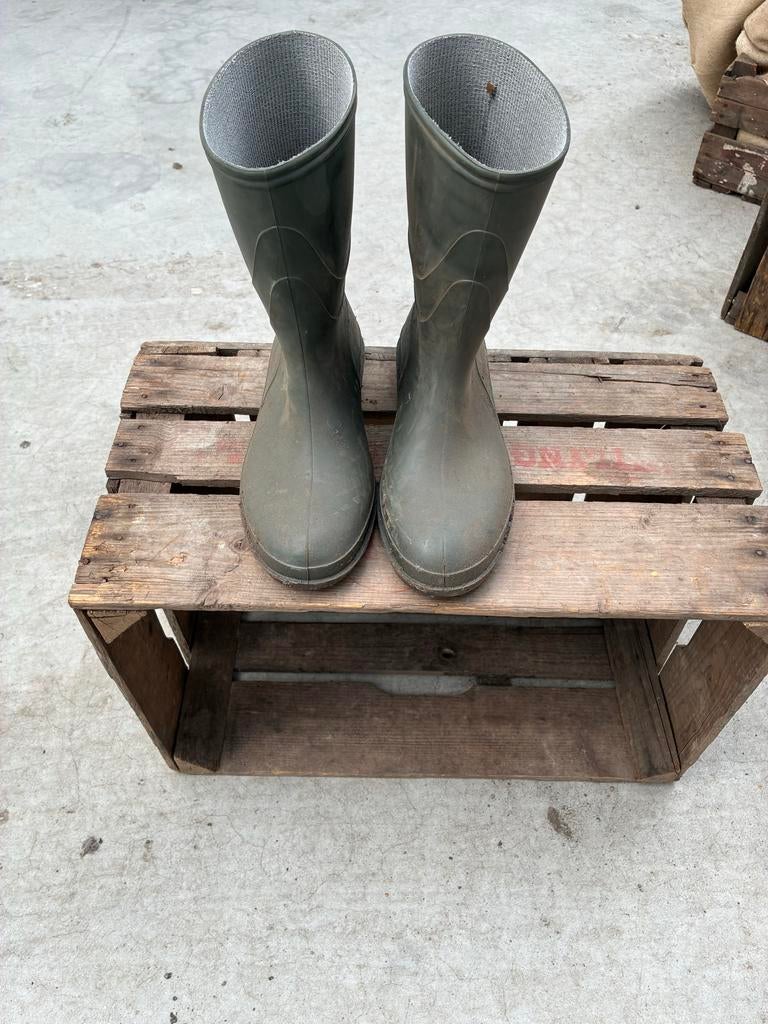 Dunlop Laarzen Maat 44 - Groene Regenlaarzen, Ophalen of Verzenden, Gedragen, Overige kleuren, Regenlaarzen