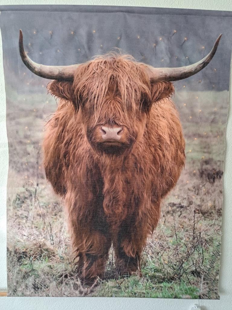 Wandkleed Schotse Hooglander - Sfeervolle Wanddecoratie, Huis en Inrichting, Woonaccessoires | Wanddecoraties, Zo goed als nieuw