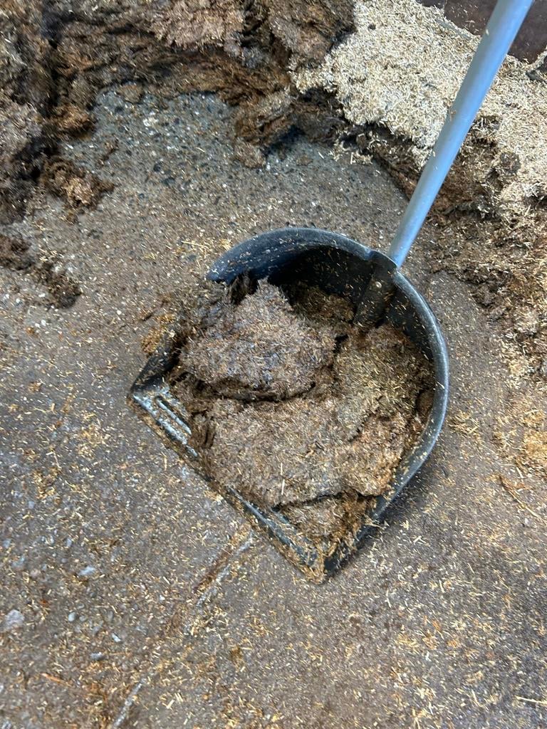 GRATIS in zakken compost 4 m2 af te halen > zit in zakken, Ophalen, Compost