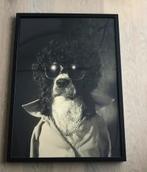 Wissellijst met afbeelding Hond., Ophalen, Foto of Poster