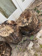 Houtblokken en boomstam/takkenvoor haardhout, Minder dan 3 m³, Ophalen of Verzenden, Overige houtsoorten, Blokken