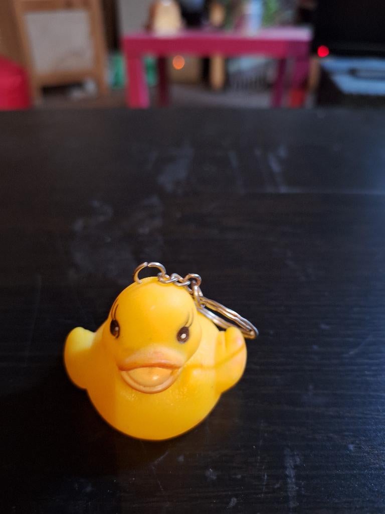sleutel hangers, Verzamelen, Ophalen, Zo goed als nieuw, Overige typen