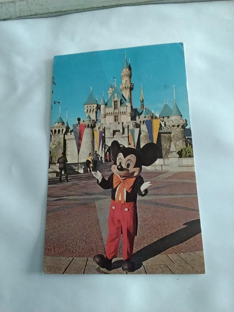 DISNEYLAND. IT ALL STARTED WITH A MOUSE / MICKEY MOUSE, Ophalen of Verzenden