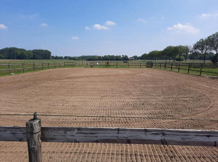 Stalling, Dieren en Toebehoren, Stalling en Weidegang, Stalling, 1 paard of pony