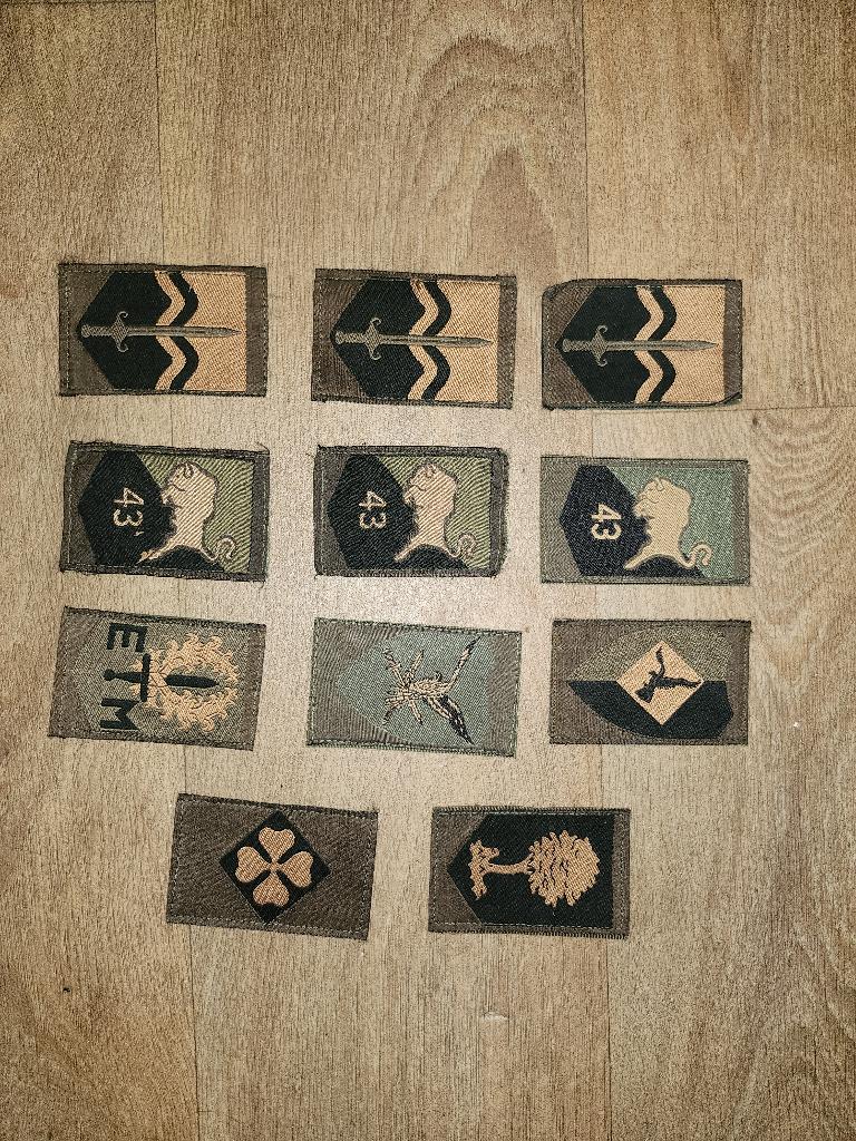 Mouwembleem Embleem Luchtmobiele Gemechaniseerde Brigade, Ophalen of Verzenden, Landmacht, Nederland, Embleem of Badge