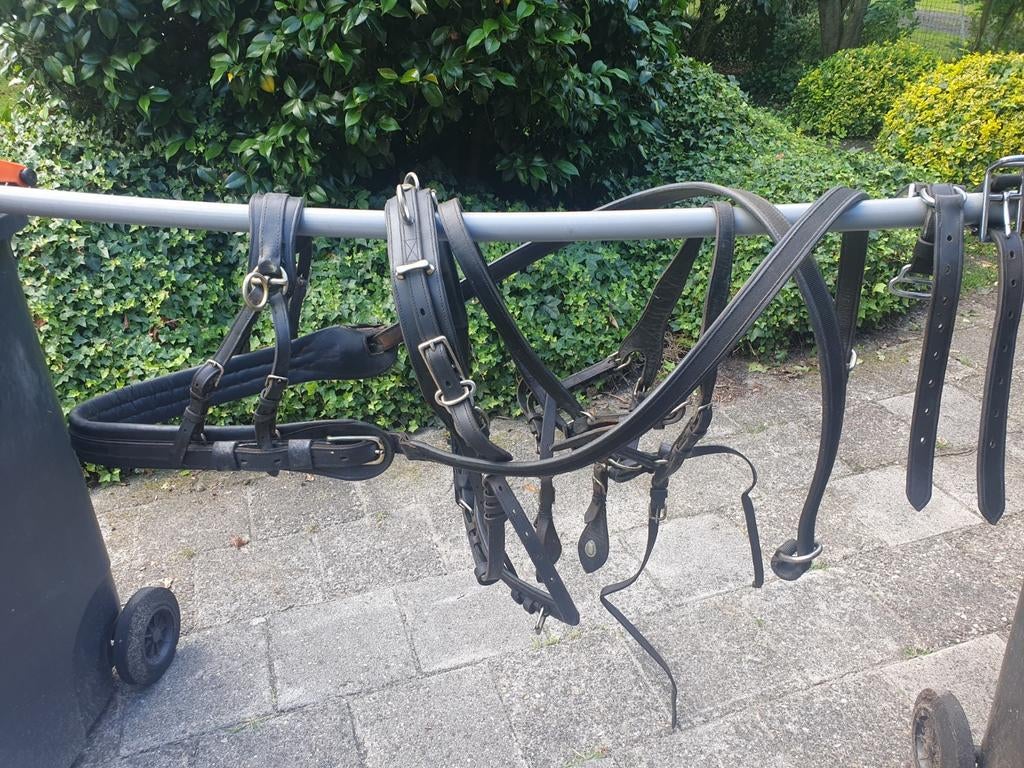 Goed onderhouden ideale pony tuig, Dieren en Toebehoren, Paarden en Pony's | Hoofdstellen en Tuigage, Ophalen, Overige soorten