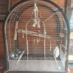 Koppel valkparkieten, Dieren en Toebehoren, Meerdere dieren, Parkiet