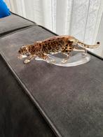 Swarovski panter, Ophalen of Verzenden, Zo goed als nieuw, Figuurtje