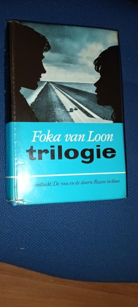 Foka van Loon - Hanske Trilogie (christelijk), Boeken, Ophalen of Verzenden, Gelezen, Foka van Loon, Nederland