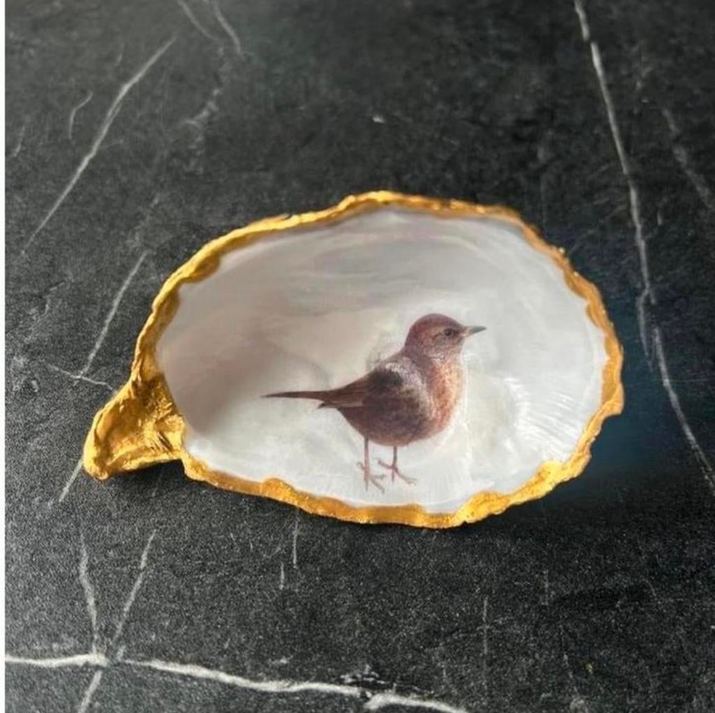 oesterschelp met vogelafbeelding specht merel zwaluw, Ophalen of Verzenden, Nieuw