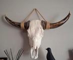Buffel schedel wanddecoratie - 70x42 cm, Ophalen, Zo goed als nieuw