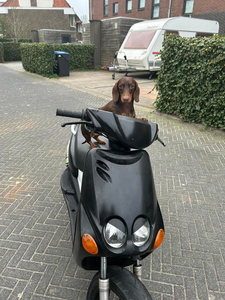 70cc Yamaha Neos, Ophalen, Tweetakt, Zo goed als nieuw, Neo's