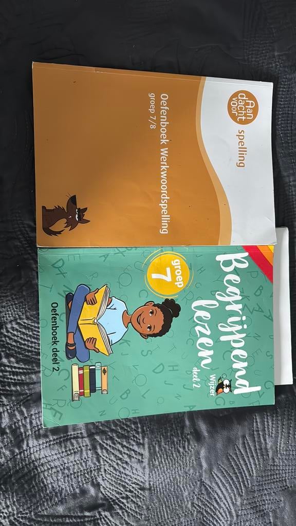 Aandacht voor spelling begrijpendlezen, Ophalen of Verzenden, Zo goed als nieuw